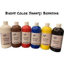 Birdy's Color Akrilik Boya 6'lı Set 6X500GR - Ana Renkler