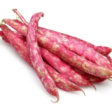 Aksaray Tohumculuk Doğal Barbunya Tohumu 100 gr Tohum Aksaray Tohumculuk