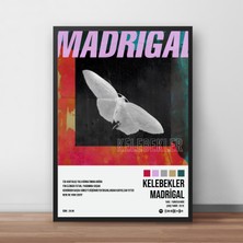 Orenda Art Madrigal - Kelebekler / Çerçeveli Poster Tablo