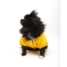 Tarpaws Cool Yellow Sweatshirt