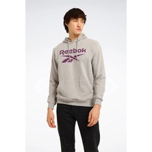 Reebok 4W,RI Ft Big Logo Oth Hood,grı Melanj
