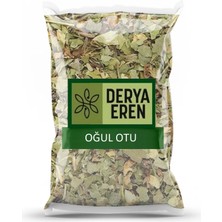 Derya Eren Oğul Otu 500 gr