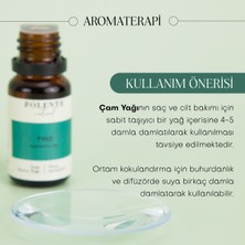 Polente Natural Çam Uçucu Yağı (10 ml)