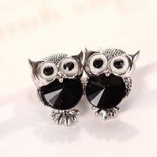 Renjie Shop C Siyah Stil 2017 Güzel Kristal Baykuş Küpe Kadın Gümüş Takı 7 Renk (Yurt Dışından)
