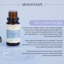 Polente Natural Lavanta Uçucu Yağı (10 ml)