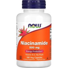 Niacinamide 500 Mg 100 Capsules (Vitamin B-3)