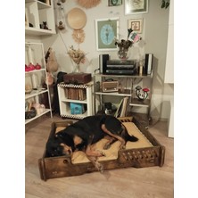 Ed Pet Dizayn Bilbao Xxl Büyük Köpek Yatağı. 70*100 cm Şık Tasarım Rahat Minderi ile Beraber