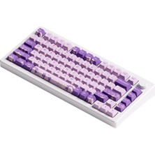 Akko Mod 007 He Pc Purple Melody Hall Effect Rgb Mekanik Gaming Klavye