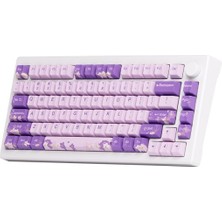 Akko Mod 007 He Pc Purple Melody Hall Effect Rgb Mekanik Gaming Klavye