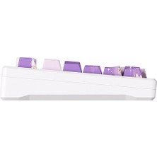 Akko Mod 007 He Pc Purple Melody Hall Effect Rgb Mekanik Gaming Klavye