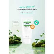 Lebelage Centella Asiatica Içeren Hassas Cilt Güneş Koruyucu Cica Soothing Sun Spf 50+ Pa++++ 50 gr