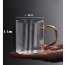 Lagabya Kulplu Isıya Dayanıklı Termisil Cam Kupa Bardak Çizgili Kahve Meşrubat Sunum Bardağı 250ML