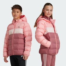 Adidas Sportswear IY6916 Synthetic Down Jacket