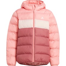 Adidas Sportswear IY6916 Synthetic Down Jacket