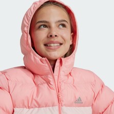 Adidas Sportswear IY6916 Synthetic Down Jacket