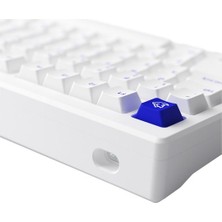 Akko Mod 007B Pc Blue On White Rgb Kablosuz Hotswap Mekanik Gaming Klavye