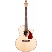 Seagull Performer Cw Mini Jumbo Hg Presys II Elektro Akustik Gitar