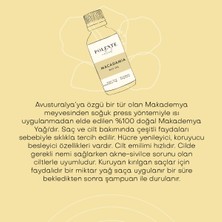 Polente Natural Makademya Cevizi Yağı (30 ml)