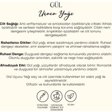 Polente Natural Gül Uçucu Yağı (2,5 ml)