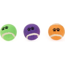 Froggo 3'lü Pet Tenis Topu - Renkli - 5 cm