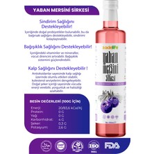 Zadelife C Vitamini Kaynağı Yaban Mersini Sirkesi 500 ml