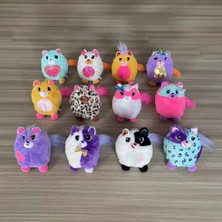 Sürpriz Kutu Peluş Kedi
