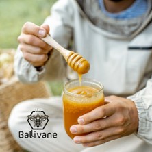 Ballivane Kestane Ballı Karışım-ATOM (250gr)