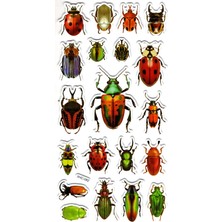 Limmy Sticker Kabartmalı Stiker Çıkartma Etiket (XHC082)-18X9 Cm- Orman Böcekleri