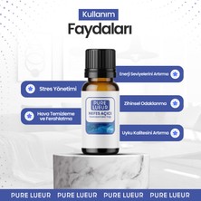 Pure Lueur Nane ve Okaliptüs Esansiyel Uçucu Koku Yağı Buhurdanlık Yağı Difüzör Esansı Küre 10 ml