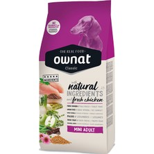 Ownat Tavuklu Classic Mini Adult Köpek Maması 1.5 kg Wanpy Hediyeli