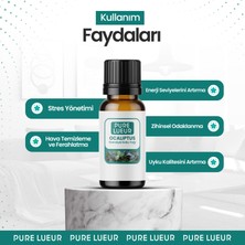 Pure Lueur Okaliptus Esansiyel Koku Yağı,uçucu Yağ,difüzör ve Buhurdanlık Esans Yağı, Oda ve Ortam Kokusu 10 ml