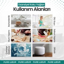 Pure Lueur Okaliptus Esansiyel Koku Yağı,uçucu Yağ,difüzör ve Buhurdanlık Esans Yağı, Oda ve Ortam Kokusu 10 ml