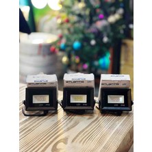 Atlantis 10 Watt LED Projektör