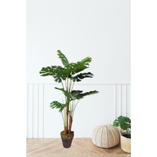 Maki Dekor Yapay Ağaç Monstera 170 cm