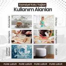 Pure Lueur Sandal Ağacı Esansiyel Uçucu Koku Yağı Difüzör Esansı Buhurdanlık Yağı Aromaterapi Yağı 10 ml