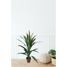 Maki Dekor Yapay Ağaç Mısır 100  cm