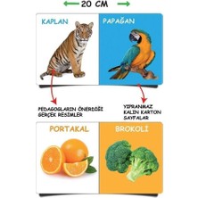 2090 Dıytoy, Ilk Kütüphanem-Ilk Sözcükler 8'li Mini Kitap Seti