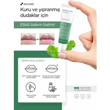 3W CLiNiC Yoğun Nemlendirici Cica Dudak Nemlendirici Bakım Balmı Derma Cica Lip Balm