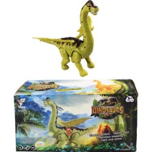 Can Kutulu Pıllı Yumurtlayan Dinaz