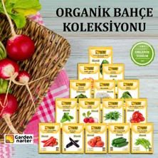 15 Paket Organik Sebze Bahçesi Tohum Koleksiyonu Doğal Sebze Tohumları 7000 Tohum