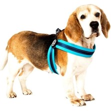 Max & Molly Q-Fit Matrix Köpek Göğüs Tasması Xxsmall Sky Blue 31-34 cm