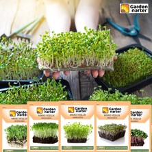 5 Paket Mikro Yeşillik Için Microgreen Organik Marul Lahana Yonca Bezelye Kırmızı Lahana Tohumu