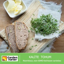 5 Paket Mikro Yeşillik Için Microgreen Organik Marul Lahana Yonca Bezelye Kırmızı Lahana Tohumu