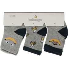 Nurcan Bebe Erkek Bebek Gri Desenli Çorap 3'lü