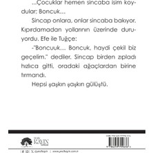 Efe'nin Hayali - Gülsüm Çelikten