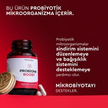 Next-Microbiome Probiome-Boost Takviye Edici Gıda (60 Kapsül)