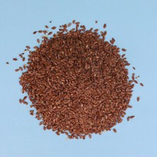 Keten Tohumu Tane 100 gr