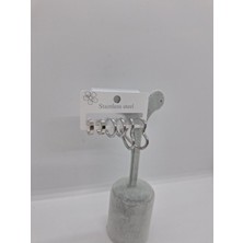 Stainless Steel 6 Lı Çelik Kalpli Halka Küpe Seti