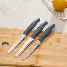 Apricot Barbekü 10 Parça Bıçak Seti Gri