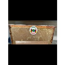 Turhallı Geleneksel Ürünler Organik Şekersiz Reşadiye Yayla Petek Balı 1000 gr